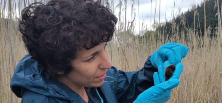 Vortrag für die Oberstufe am 7.11.25