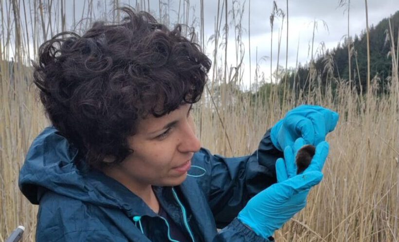 Vortrag für die Oberstufe am 7.11.25