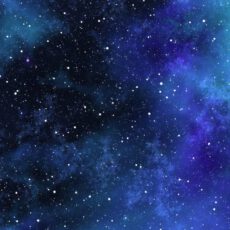 Exkursion für die Unterstufe am 9. Januar 2026 Exkursion für die Unterstufe am 9. Januar 2026