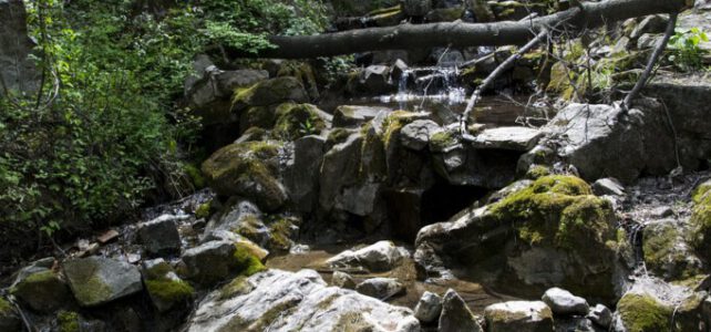 Vortrag für die Oberstufe am 13.3.26