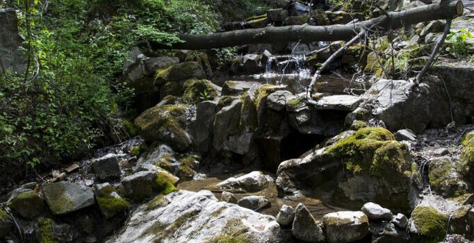 Vortrag für die Oberstufe am 13.3.26