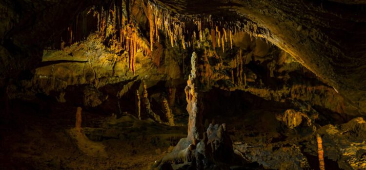 Exkursion der Unterstufe am 25.6.26 – Anmeldung